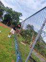 IMG-20250901-WA0041.jpg