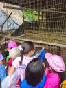 IMG-20250818-WA0085.jpg