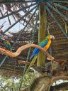 IMG-20250818-WA0094.jpg