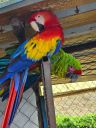 IMG-20250818-WA0098.jpg