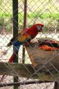 IMG_5197.JPG