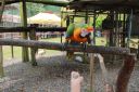 IMG_5205.JPG